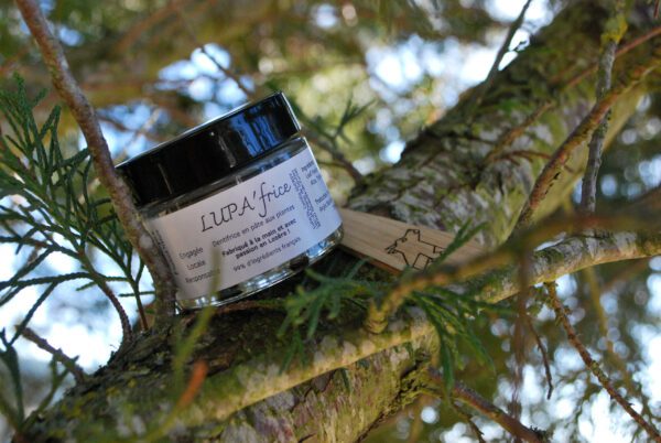 dentifrice pâte plantes LUPA'frice LUPA'lis cosmétiques naturels bio français fabriqués artisanalement en Lozère